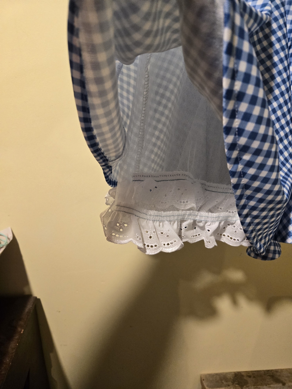 Girl's "Dorothy" (Wizard Of Oz) Dress. - Picture 4 of 4